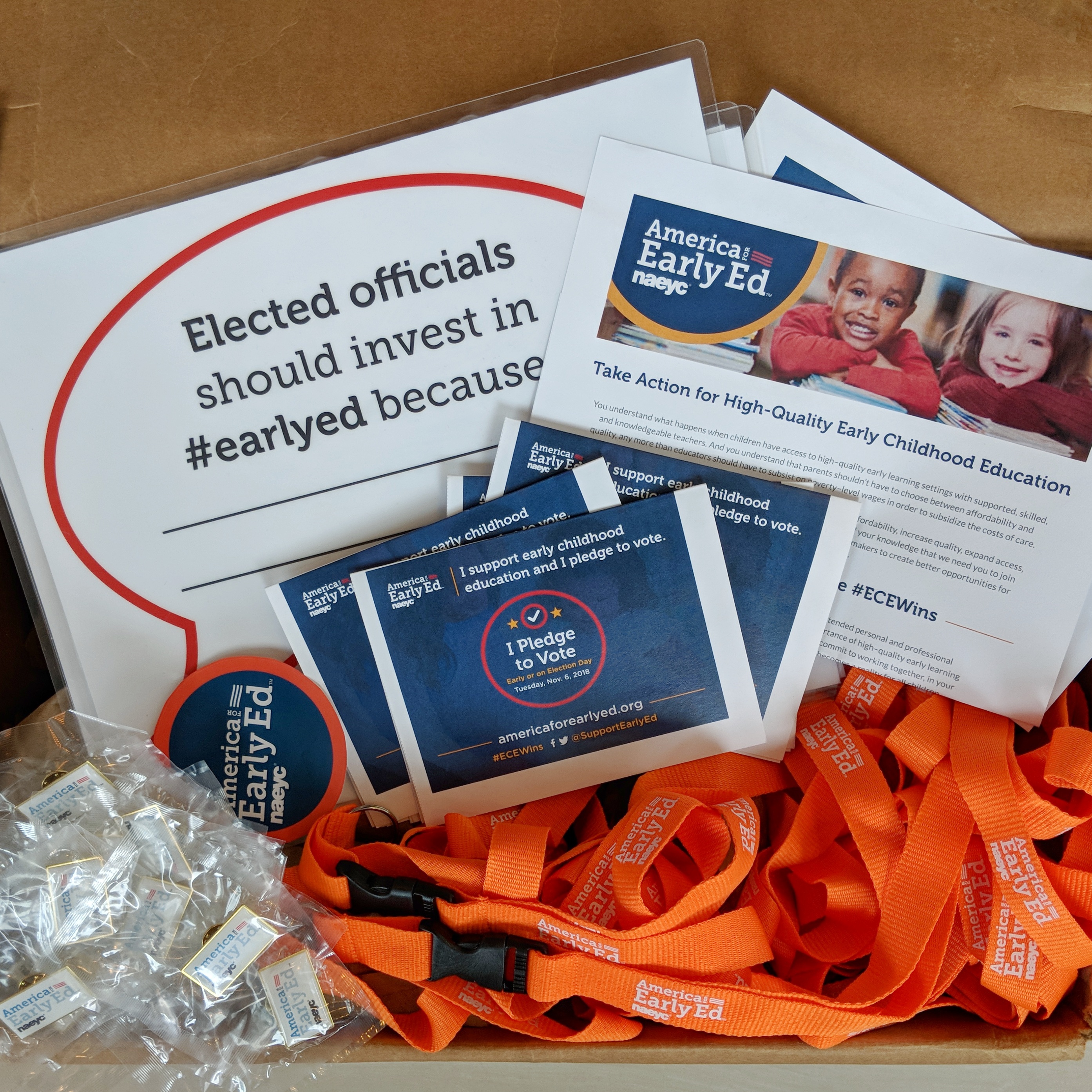 Limited Edition: America for Early Ed To-Go Box - October Ship Date